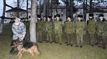 https://ognikubani.ru/wp-content/uploads/2021/11/ognikubani.ru-2-15