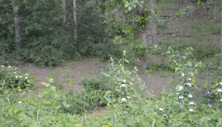 http://www.ognikuban.tw1.ru/wp-content/uploads/2017/05/DSC_1842kuban