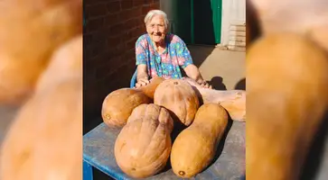https://ognikubani.ru/wp-content/uploads/2023/10/photo_5309847968054104454_y