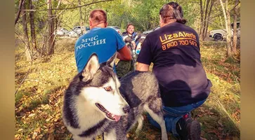 https://ognikubani.ru/wp-content/uploads/2022/02/ognikubani.ru-2-15