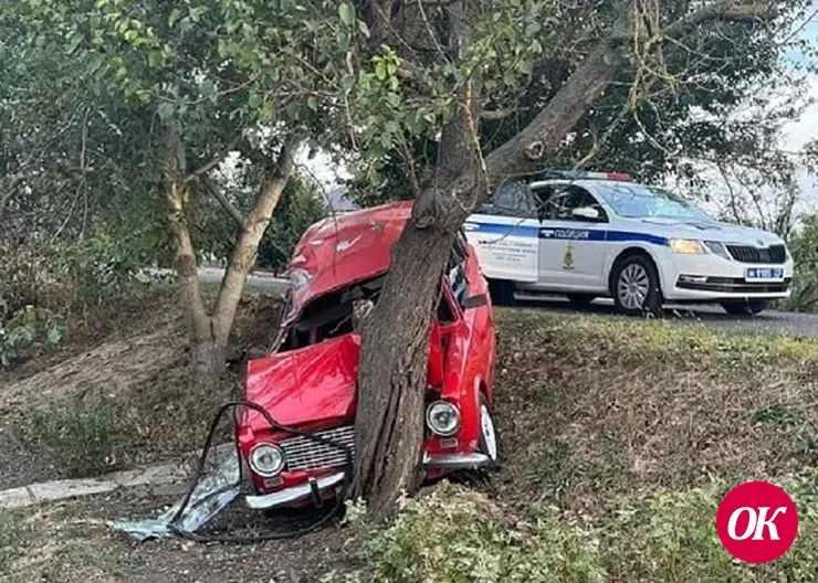 19-летняя водитель смяла ВАЗ об дерево в городе Гулькевичи