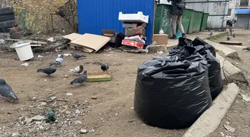 photo_5300746859343186820_y