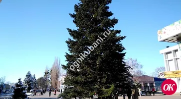 Новогодняя елка сегодня украсила главную площадь Кропоткина