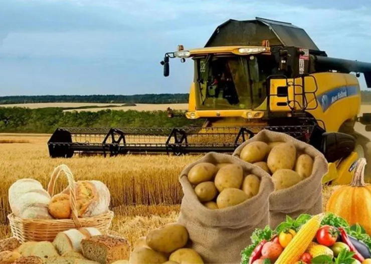 https://ognikubani.ru/wp-content/uploads/2021/10/ognikubani.ru-9-5