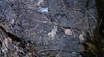 https://ognikubani.ru/wp-content/uploads/2023/08/тайниковая-закладка