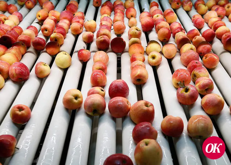 Сельхозпредприятие Кубани повысило выработку продукции на 10% благодаря бережливым технологиям