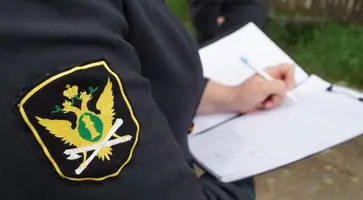 https://ognikubani.ru/wp-content/uploads/2020/04/45b25a032e0b35e2e09588f655e303e5
