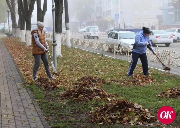 Сегодня в Кропоткине дружно убирают опавшую листву
