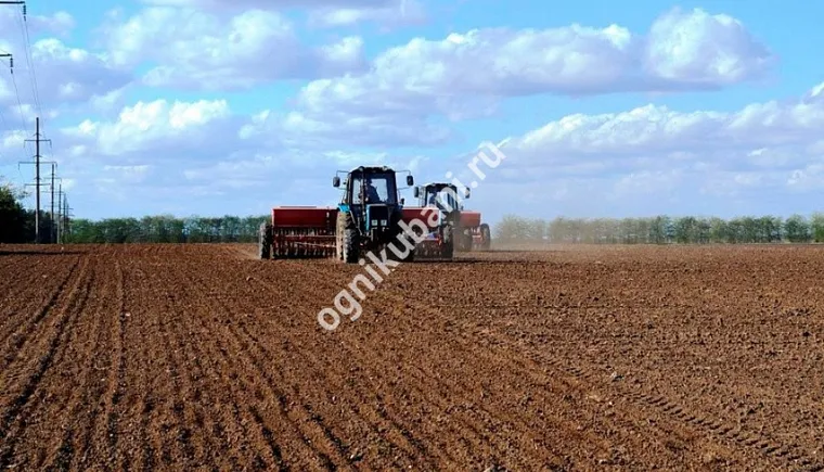 https://ognikubani.ru/wp-content/uploads/2019/10/f57a0918419b026ea61f37d8ec99335b