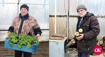 «Год овощей и фруктов». Супруги Александр и Любовь Митрохины из поселка Мирского успешно работают в собственном тепличном хозяйстве