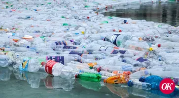 Загрязнение планеты пластиковыми отходами — ответственность каждого