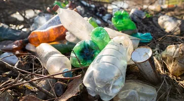 https://ognikubani.ru/wp-content/uploads/2023/03/ground-littered-with-plastic-bottles