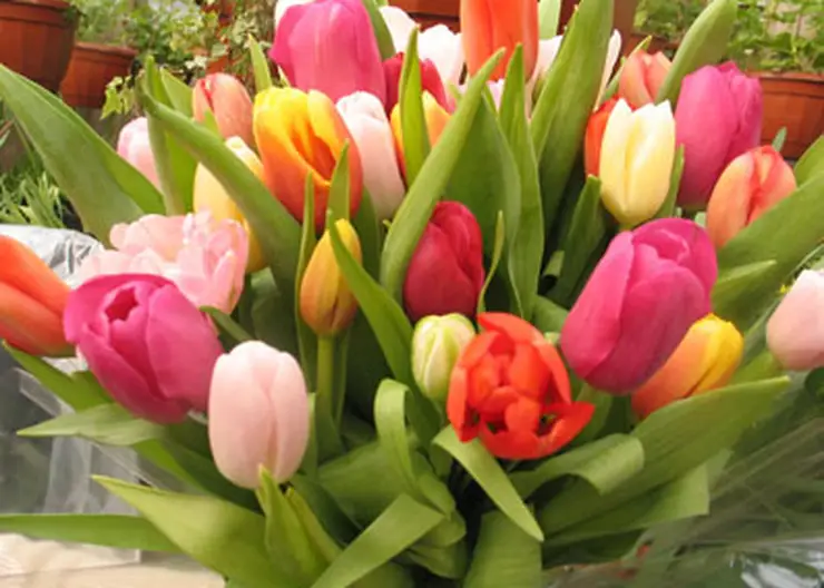 http://www.ognikuban.tw1.ru/wp-content/uploads/2017/03/dasket_wflowers_1zz