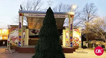 В городском парке культуры и отдыха Кропоткина уже установили елку