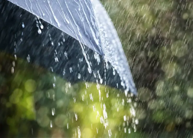 https://ognikubani.ru/wp-content/uploads/2020/05/image18536