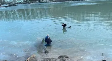 AyptTZQX1aLQlOF2MNdAoWf1KA_U7q3NOEIbJysKw3zfHFKn87aCv5itRPQ6LyOkSQ28mvS_kkTY9AmGxGu8--j8