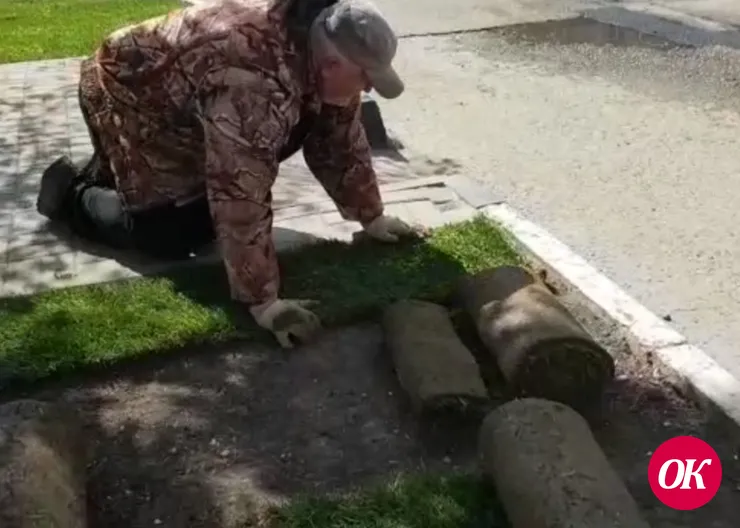 На площади имени Пушкина Кропоткина меняют рулонный газон