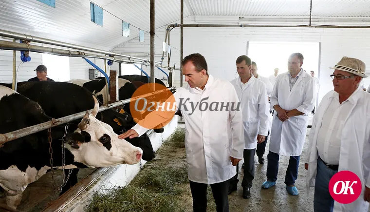 Развитие животноводства в приоритете