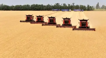 https://ognikubani.ru/wp-content/uploads/2022/07/previewbig6608-62322_1