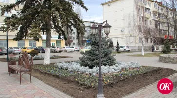 Февраль не помеха озеленителям