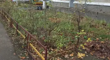 https://ognikubani.ru/wp-content/uploads/2021/11/ognikubani.ru-40