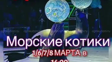 https://ognikubani.ru/wp-content/uploads/2020/02/WhatsApp-Image-2020-02-17-at-22.39.40