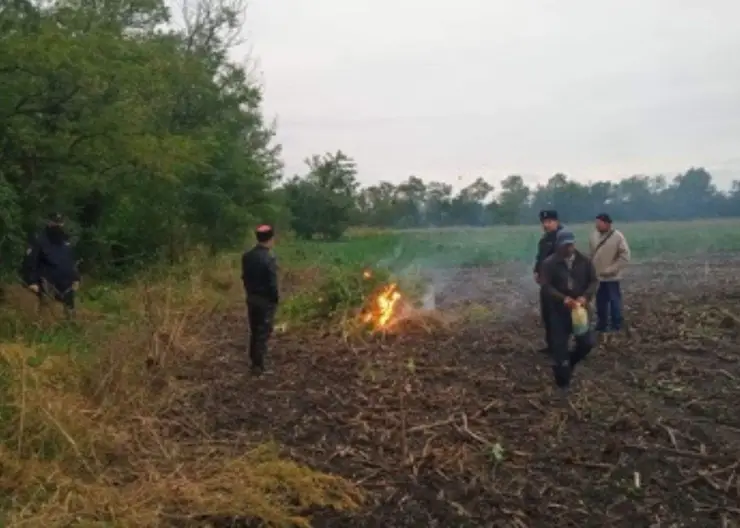 https://ognikubani.ru/wp-content/uploads/2021/10/ognikubani.ru_-5