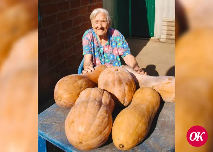97-летняя жительница станицы Кавказской Мария Зайцева собрала на своем огороде более полтонны тыквы