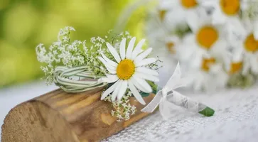 https://ognikubani.ru/wp-content/uploads/2022/07/204045_1