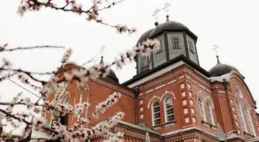 https://ognikubani.ru/wp-content/uploads/2022/04/ognikubani.ru-1-19