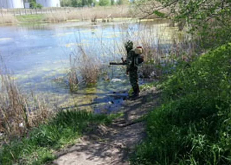 http://www.ognikuban.tw1.ru/wp-content/uploads/2017/05/IMG-20170502-WA0008