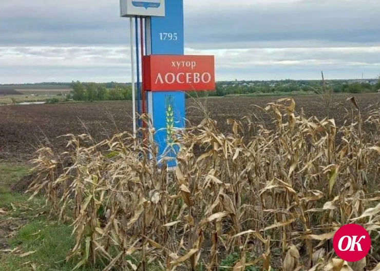Глобальных проектов не планировали