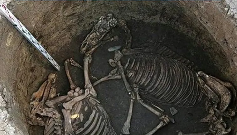 https://ognikubani.ru/wp-content/uploads/2020/08/118473042_118192609814585_2667618085055853879_n