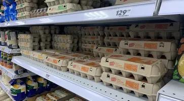 64491898-15DC-48BC-A273-11AB10613325