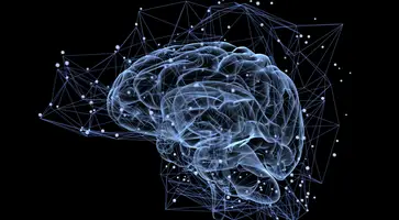 https://ognikubani.ru/wp-content/uploads/2020/06/iStock-497487570-scaled