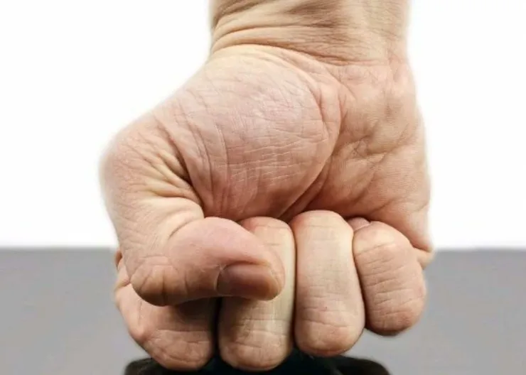 https://ognikubani.ru/wp-content/uploads/2022/03/ognikubani.ru-7-8
