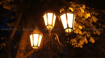 https://ognikubani.ru/wp-content/uploads/2019/12/s1200-1