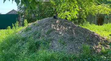https://ognikubani.ru/wp-content/uploads/2022/06/WhatsApp-Image-2022-06-06-at-10.09.25_1