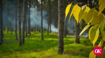 Сегодня синоптики обещают до +28° тепла