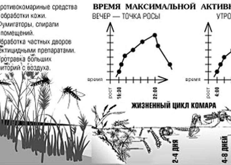 http://www.ognikuban.tw1.ru/wp-content/uploads/2017/06/Ogni_Kuban_270617_4