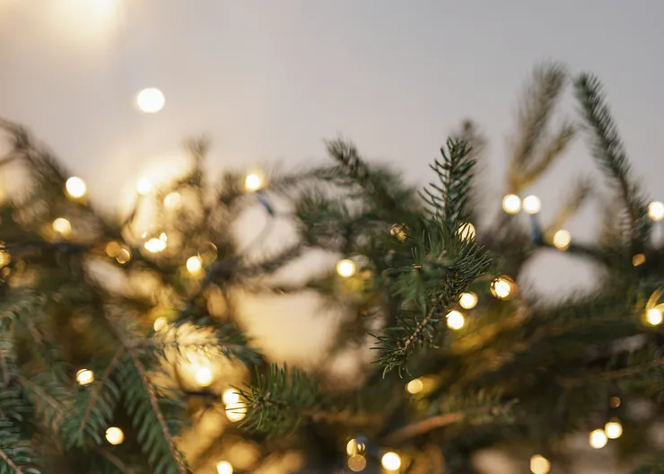 https://ognikubani.ru/wp-content/uploads/2022/12/christmas-tree-decorated-by-lights