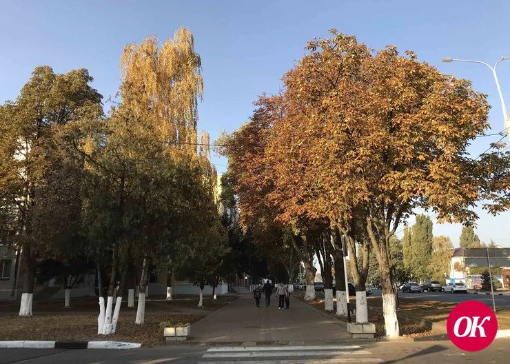 В начале недели на Кубани ожидается потепление до +29°С