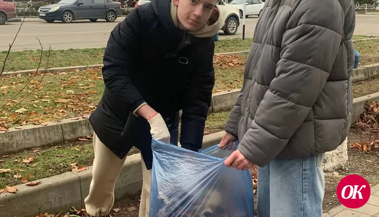 Взялись за грабли