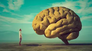 https://ognikubani.ru/wp-content/uploads/2022/07/brain_pic1