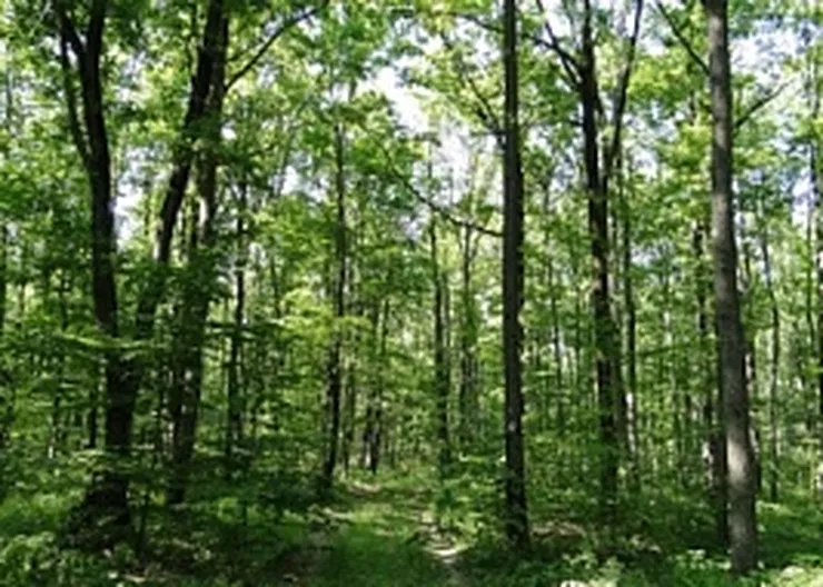 http://www.ognikuban.tw1.ru/wp-content/uploads/2017/07/cb201d70980279def8f3581e3145f679
