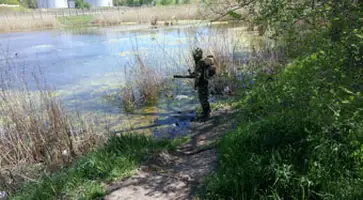 http://www.ognikuban.tw1.ru/wp-content/uploads/2017/05/IMG-20170502-WA0008