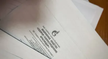 photo_5195203166231189689_y