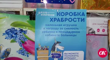 В филиале известного федерального «Клуба добряков» открылись пять пунктов сбора игрушек
