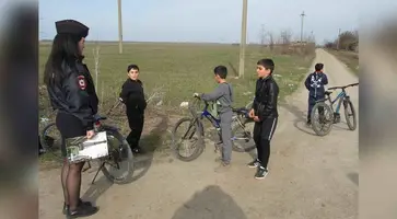 https://ognikubani.ru/wp-content/uploads/2021/04/ognikubani.ru-62