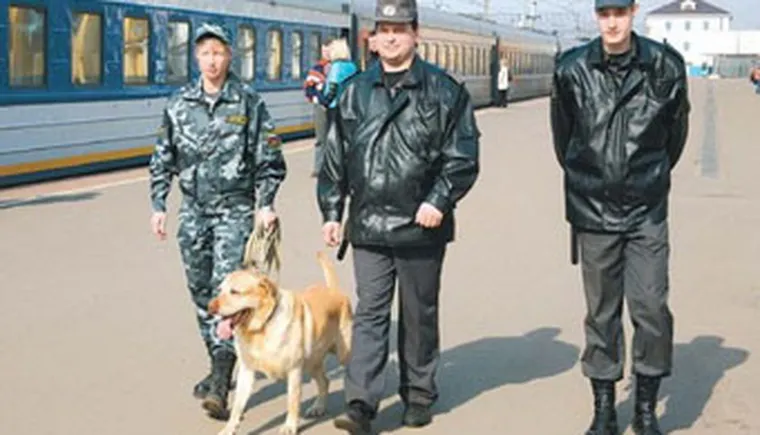 http://www.ognikuban.tw1.ru/wp-content/uploads/2017/04/transportnaya-policiya